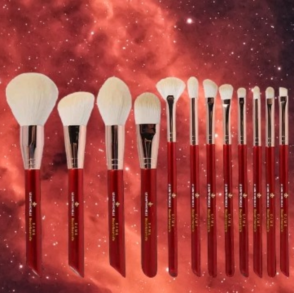 LeSainteMichelle Collection Makeup Brushes